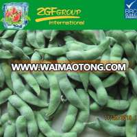 Frozen green Soybean Pods IQF edamame