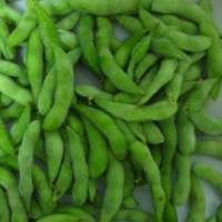 2019 new crop good quality iqf frozen edamame