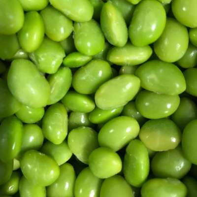 VIETNAM FROZEN IQF EDAMAME - IQF GREEN SOY BEAN - IQF FROZEN EDAMAME BEAN