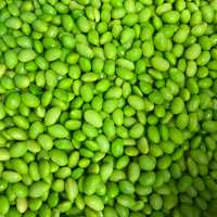 VIETNAMESE IQF EDAMAME - IQF FROZEN EDAMAME SEED - FROZEN GREEN BEAN