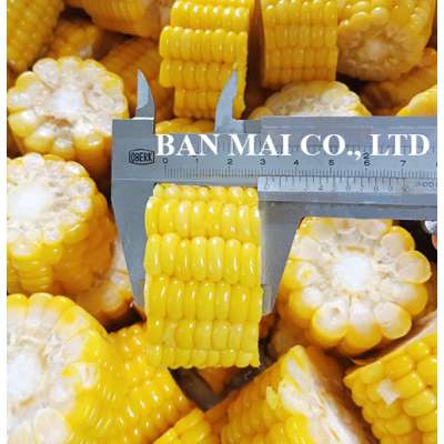 Vietnam high quality frozen sweet corn cobs